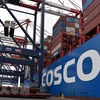 Tàu container của Trung Quốc neo tại cảng Long Beach ở California, Mỹ. (Ảnh: THX/TTXVN)