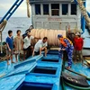 Lực lượng Cảnh sát biển kiểm tra hàng hóa trên tàu cá BT 99900 TS. (Ảnh: TTXVN phát)