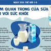 Nâng cao nhận thức về tầm quan trọng của sữa đối với sức khỏe