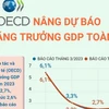 [Infographics] OECD nâng dự báo tăng trưởng GDP toàn cầu
