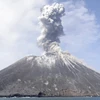 Indonesia: Núi lửa Anak Krakatau phun tro cao 3.000m, cảnh báo cấp 3
