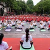 Các yogis (người tập yoga) thực hiện màn đồng diễn giao thức yoga phổ biến. (Ảnh: TTXVN phát)