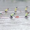 Lễ hội đua bè mảng trên sông Kỳ Cùng tỉnh Lạng Sơn thu hút 17 đội tham gia. (Ảnh: Anh Tuấn/TTXVN) 