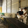 Vận chuyển gạo thành phẩm đi tiêu thụ tại nhà máy của Công ty trách nhiệm hữu hạn Hưng Cúc ở thị trấn Đông Hưng, huyện Đông Hưng. (Ảnh: Vũ Sinh/TTXVN)