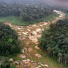 Khoảng rừng Amazon bị chặt phá tại Brazil. (Ảnh: AFP/TTXVN) 