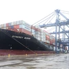 Tàu Synergy Busan đã cập cảng container quốc tế Cái Lân (CICT Cái Lân) tỉnh Quảng Ninh. (Ảnh: Thanh Vân/TTXVN) 