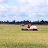 Nông dân thu hoạch lúa Hè Thu trên cánh đồng của huyện Thạnh Trị, tỉnh Sóc Trăng. (Ảnh: Tuấn Phi/TTXVN)