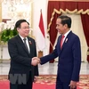 Chủ tịch Quốc hội Vương Đình Huệ hội kiến với Tổng thống Indonesia Joko Widodo. (Nguồn: TTXVN) 