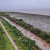 Xâm thực biển, sạt lở sông đe dọa nghiêm trọng Đồng bằng sông Cửu Long. (Ảnh: Trọng Đạt/TTXVN) 