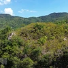 Hệ sinh thái rừng ở Khu Dự trữ Sinh quyển Thế giới Núi Chúa tại tỉnh Ninh Thuận. (Ảnh: Nguyễn Thành/TTXVN) 