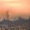Khói bốc lên ngùn ngụt từ đám cháy rừng trên đảo Tenerife thuộc Quần đảo Canary của Tây Ban Nha. (Ảnh: AFP/TTXVN) 