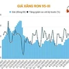 [Infographics] Giá xăng RON 95-III tăng lên 24.871 đồng mỗi lít