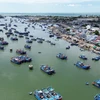 Tàu thuyền của ngư dân cập Đầm Nại để đưa hải sản lên chợ Nại bán buôn. Ảnh: Nguyễn Thành - TTXVN 