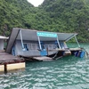 Khu bảo tồn lớp học làng chài trên vịnh Hạ Long bị chìm do xuống cấp. (Ảnh: TTXVN phát)