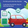 [Infographics] Những thông tin cơ bản về nhiên liệu điện tử