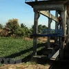 Cống ven biển xã Sơn Bình, huyện Hòn Đất, tỉnh Kiên Giang được đóng để ngăn mặn, giữ ngọt phục vụ sản xuất cho nông dân. (Ảnh: Lê Sen/TTXVN) 