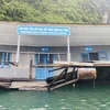Khu bảo tồn lớp học làng chài trên vịnh Hạ Long bị chìm do xuống cấp. (Ảnh: TTXVN phát) 
