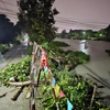 Hai cây cầu dân sinh bị cuốn trôi sau cơn mưa lớn vào tối qua tại thành phố Thuận An (Bình Dương). (Ảnh: TTXVN phát)