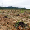 Thừa Thiên-Huế: Hoàn thành xử lý đất nhiễm dioxin tại sân bay A So