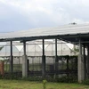 Một hệ thống pin năng lượng mặt trời được lắp áp mái tại Khu Nông nghiệp Ứng dụng Công nghệ cao Phú Yên. (Ảnh: Xuân Triệu/TTXVN)