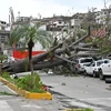 Cảnh tàn phá do bão Otis tại Acapulco, bang Guerrero, Mexico, ngày 25/10/2023. (Nguồn: THX/TTXVN)