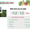 Việt Nam đặt mục tiêu nâng kim ngạch xuất khẩu rau lên 1-1,5 tỷ USD vào 2030 