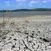 Đất khô nứt nẻ do hạn hán kéo dài tại tỉnh Camaguey, Cuba. (Nguồn: AFP/TTXVN) 