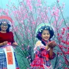 Sắc hoa rực rỡ trên đèo Pha ĐIn thu hút khách du lịch đến tham quan, chụp ảnh lưu niệm. (Ảnh: Quang Quyết/TTXVN