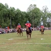 Đông đảo du khách dự hội đua ngựa Gò Thì Thùng, chứng kiến những lượt đua hấp dẫn. (Ảnh: Xuân Triệu/TTXVN)