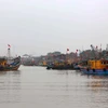 Tàu thuyền neo đậu tại cảng cá Diễn Ngọc, xã Diễn Ngọc (Diễn Châu, Nghệ An). (Ảnh: Xuân Tiến/TTXVN)