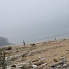 Hà Tĩnh: Bãi biển Thiên Cầm ngổn ngang rác trước mùa du lịch
