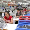 Dây chuyền sản xuất hàng may mặc xuất khẩu của Công TNHH Thời trang STAR, vốn đầu tư của Singapore, tại Khu công nghiệp Phú Nghĩa (huyện Chương Mỹ, Hà Nội). (Ảnh: Danh Lam/TTXVN)