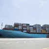 Tàu container cập cảng ở Lazaro Cardenas, bang Michoacan, Mexico. (Ảnh: AFP/TTXVN)