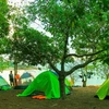 Cắm trại, ngủ lều trong không gian sinh thái hồ Trị An, Khu Bảo tồn Thiên nhiên -Văn hoá Đồng Nai. (Ảnh: Hồng Đạt/TTXVN)