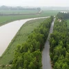 Tuyến đê Bá Hanh chắn sông Cà Lồ đoạn qua xã Cao Minh thành phố Phúc Yên xuất hiện nhiều vết nứt dọc thân đê. (Ảnh: Hoàng Hùng/TTXVN)