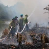 Lực lượng chức năng ở Hậu Giang triển khai thực tập chữa cháy rừng. (Ảnh: Duy Khương /TTXVN)