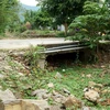 Suối Khe Định (xã Hòa Bắc, huyện Hòa Vang, thành phố Đà Nẵng) đã cạn trơ đáy từ đầu năm nay. (Ảnh: Quốc Dũng/TTXVN)