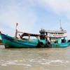Tàu đánh bắt xa bờ trên vùng biển huyện Ngọc Hiển, tỉnh Cà Mau. (Ảnh: Hồng Đạt/ TTXVN)