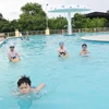 Các em nhỏ được huấn luyện viên dạy bơi tại Hồ bơi Trung tâm Huấn luyện và Thi đấu thể thao tỉnh Trà Vinh. (Ảnh: Thanh Hòa/TTXVN)