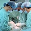 Bệnh viện Đa khoa tỉnh Phú Thọ tiến hành ca phẫu thuật lấy tạng của người hiến sau khi chết não và chuyển vào Bệnh viện Trung ương Huế để ghép cho 2 người bệnh suy thận. (Ảnh: TTXVN phát)