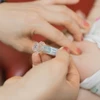 Bệnh bạch hầu có thể được phòng ngừa hiệu quả bằng việc tiêm vaccine đầy đủ và đúng lịch. (Nguồn: TTXVN)