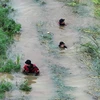 Lực lượng cứu hộ tìm kiếm người mất tích trong mưa lớn tại thành phố Gyeongsan, Hàn Quốc ngày 9/7/2024. (Ảnh: YONHAP//TTXVN)