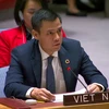 Đại sứ Đặng Hoàng Giang, Trưởng Phái đoàn Thường trực Việt Nam tại Liên hợp quốc, phát biểu tại phiên họp Hội đồng Bảo an. (Ảnh: Thanh Tuấn/TTXVN)