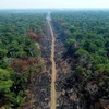 Khoảng rừng Amazon bị đốt phá tại Amazonas, Brazil. (Ảnh: Getty Images/TTXVN)