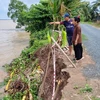 Sạt lở sông Hậu ở ấp An Bình, xã Hòa Tân, huyện Cầu Kè ngày càng nghiêm trọng. (Ảnh: Thanh Hòa/TTXVN)