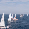 Những đội thuyền buồm đầu tiên dự Giải Clipper Race cập Cảng tàu khách quốc tế Hạ Long tháng 2/2024. (Ảnh: TTXVN phát)