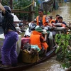 Người dân bãi giữa và ở mép bờ sông Hồng đưa tài sản, đồ đạc và vật nuôi vào bờ, sơ tán tại địa bàn phường Yên Phụ (quận Tây Hồ), Phúc Xá (quận Hoàn Kiếm). (Ảnh: Huy Hùng /TTXVN)