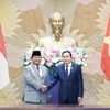 Chủ tịch Quốc hội Trần Thanh Mẫn hội kiến Tổng thống đắc cử Indonesia Prabowo Subianto. (Ảnh: Thống Nhất/ TTXVN)