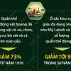 Quần thể động vật hoang dã trên thế giới giảm 70% trong 50 năm qua 