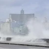 Sóng lớn tràn qua đê biển Malecon bảo vệ thủ đô La Habana. (Ảnh: Mai Phương/ TTXVN)